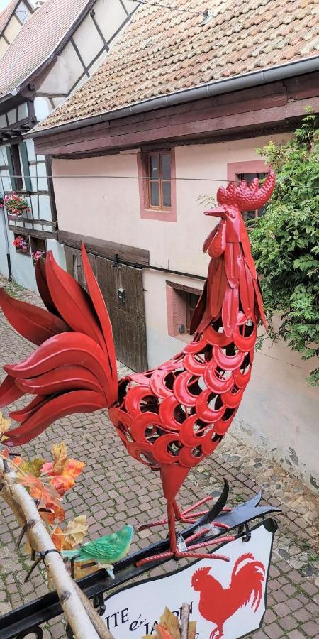 Gite Le Coq Rouge Eguisheim Extérieur photo